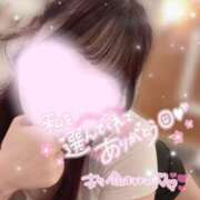 ヒメ日記 2026/06/11 12:10 投稿 りん 京都出張メンズエステChou Chou（シュシュ)