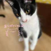 ヒメ日記 2026/07/14 20:18 投稿 りん 京都出張メンズエステChou Chou（シュシュ)