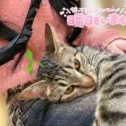 ヒメ日記 2026/08/03 20:27 投稿 りん 京都出張メンズエステChou Chou（シュシュ)