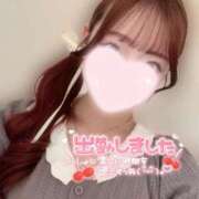 ヒメ日記 2026/08/05 09:50 投稿 りん 京都出張メンズエステChou Chou（シュシュ)