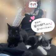 ヒメ日記 2026/08/08 13:08 投稿 りん 京都出張メンズエステChou Chou（シュシュ)