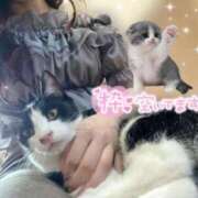 ヒメ日記 2026/08/09 11:20 投稿 りん 京都出張メンズエステChou Chou（シュシュ)