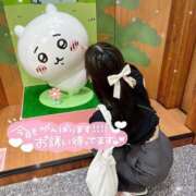 ヒメ日記 2026/08/11 09:50 投稿 りん 京都出張メンズエステChou Chou（シュシュ)