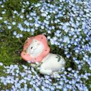 ヒメ日記 2026/08/15 12:50 投稿 りん 京都出張メンズエステChou Chou（シュシュ)