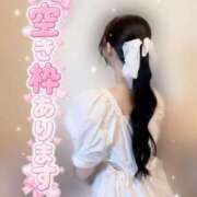 ヒメ日記 2026/08/19 11:06 投稿 りん 京都出張メンズエステChou Chou（シュシュ)