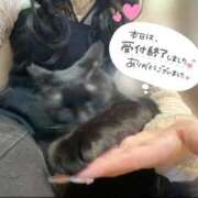 ヒメ日記 2026/08/19 15:00 投稿 りん 京都出張メンズエステChou Chou（シュシュ)