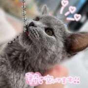 ヒメ日記 2026/08/20 11:20 投稿 りん 京都出張メンズエステChou Chou（シュシュ)