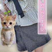 ヒメ日記 2026/08/23 09:50 投稿 りん 京都出張メンズエステChou Chou（シュシュ)