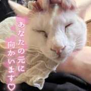 ヒメ日記 2026/09/07 10:40 投稿 りん 京都出張メンズエステChou Chou（シュシュ)
