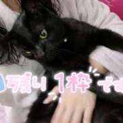 ヒメ日記 2026/09/08 10:40 投稿 りん 京都出張メンズエステChou Chou（シュシュ)