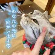ヒメ日記 2026/09/09 12:50 投稿 りん 京都出張メンズエステChou Chou（シュシュ)