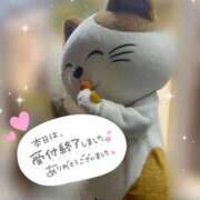 ヒメ日記 2026/09/12 15:08 投稿 りん 京都出張メンズエステChou Chou（シュシュ)
