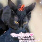 ヒメ日記 2026/09/19 11:04 投稿 りん 京都出張メンズエステChou Chou（シュシュ)