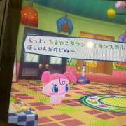 ヒメ日記 2026/09/23 10:20 投稿 りん 京都出張メンズエステChou Chou（シュシュ)