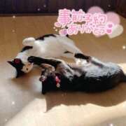 ヒメ日記 2026/10/01 21:18 投稿 りん 京都出張メンズエステChou Chou（シュシュ)