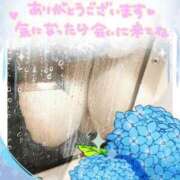 ヒメ日記 2026/06/03 13:47 投稿 なつ 丸妻 横浜本店