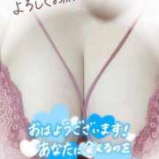 ヒメ日記 2026/06/09 07:21 投稿 なつ 丸妻 横浜本店