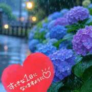 ヒメ日記 2026/07/07 07:27 投稿 なつ 丸妻 横浜本店