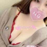 ヒメ日記 2026/05/25 08:33 投稿 もこ 鎌倉御殿 新館