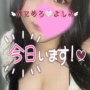 ヒメ日記 2026/08/04 13:17 投稿 よしみ ぽっちゃり巨乳素人専門店ぷにめろ渋谷店