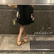 ヒメ日記 2026/10/02 21:17 投稿 雪城(ゆきしろ) 人妻出逢い会 百合の園 山の手本店