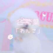 ヒメ日記 2026/06/06 12:53 投稿 める luxury spa 風雅