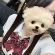 ヒメ日記 2026/07/11 10:30 投稿 ゆゆ 逆電車ごっこ ～GLAMOROUS TRAIN～