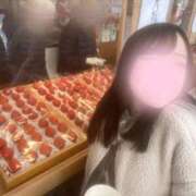 ヒメ日記 2026/05/21 12:10 投稿 新里ヒナタ FORTE