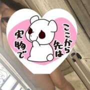 ヒメ日記 2026/05/21 17:31 投稿 桃井りの 華椿
