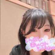 桃井りの 明日6:00~ 華椿