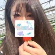 ヒメ日記 2026/07/07 19:31 投稿 桃井りの 華椿
