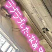 ヒメ日記 2026/08/04 08:46 投稿 桃井りの 華椿