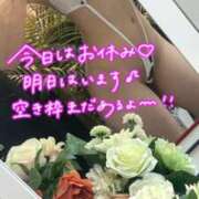 ヒメ日記 2026/09/01 06:16 投稿 桃井りの 華椿