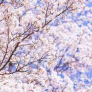 ヒメ日記 2026/05/21 20:54 投稿 りん PLANET（プラネット）