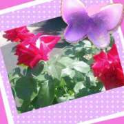ヒメ日記 2026/06/15 22:15 投稿 京子【きょうこ】 人妻日和(久喜)