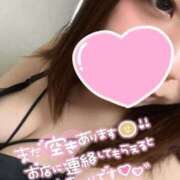 ヒメ日記 2026/05/26 13:44 投稿 マツカサウオ　松笠魚 女の子市場
