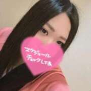 ヒメ日記 2026/06/12 14:28 投稿 マツカサウオ　松笠魚 女の子市場