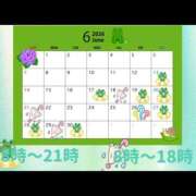 ヒメ日記 2026/06/12 17:00 投稿 きこ ラブレター