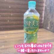 ヒメ日記 2026/06/10 10:57 投稿 まりか ふわもこ人妻ランド　那須塩原店