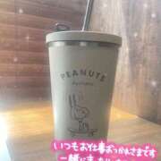 まりか 🎀ピーチづくし🎀 ふわもこ人妻ランド　那須塩原店