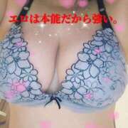 ヒメ日記 2026/09/21 17:12 投稿 ろい 新潟市鳥屋野潟ちゃんこ