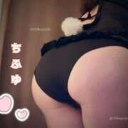 ヒメ日記 2026/08/02 23:02 投稿 ちふゆ マットDEY-jo（マット・デ・ワイジョ）