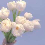 ヒメ日記 2026/05/23 01:01 投稿 新人・乙(おと) グランドオペラ福岡
