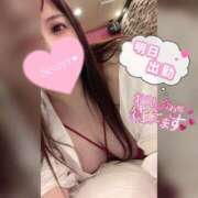 ヒメ日記 2026/05/31 21:32 投稿 紫苑【しおん】 丸妻 西船橋店