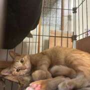 ヒメ日記 2026/06/11 21:04 投稿 ひめな♡ミニマムFカップ美乳美女♡ 即生専門店ゴッドパイ