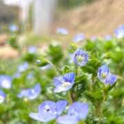 ヒメ日記 2026/05/22 08:02 投稿 桜庭　ふわり プルプル京都性感エステ　はんなり