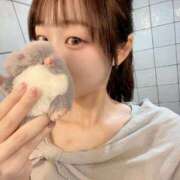 桜庭　ふわり 不安軽減のねずみくん プルプル京都性感エステ　はんなり
