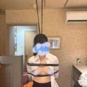 ヒメ日記 2026/06/19 11:31 投稿 市川　しぐれ SM東京　池袋店