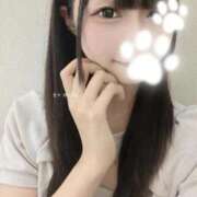 ヒメ日記 2026/09/14 13:00 投稿 【S】ゆいな E+五反田