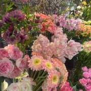 ヒメ日記 2026/06/04 09:03 投稿 瀬名　さやか 雅(みやび)